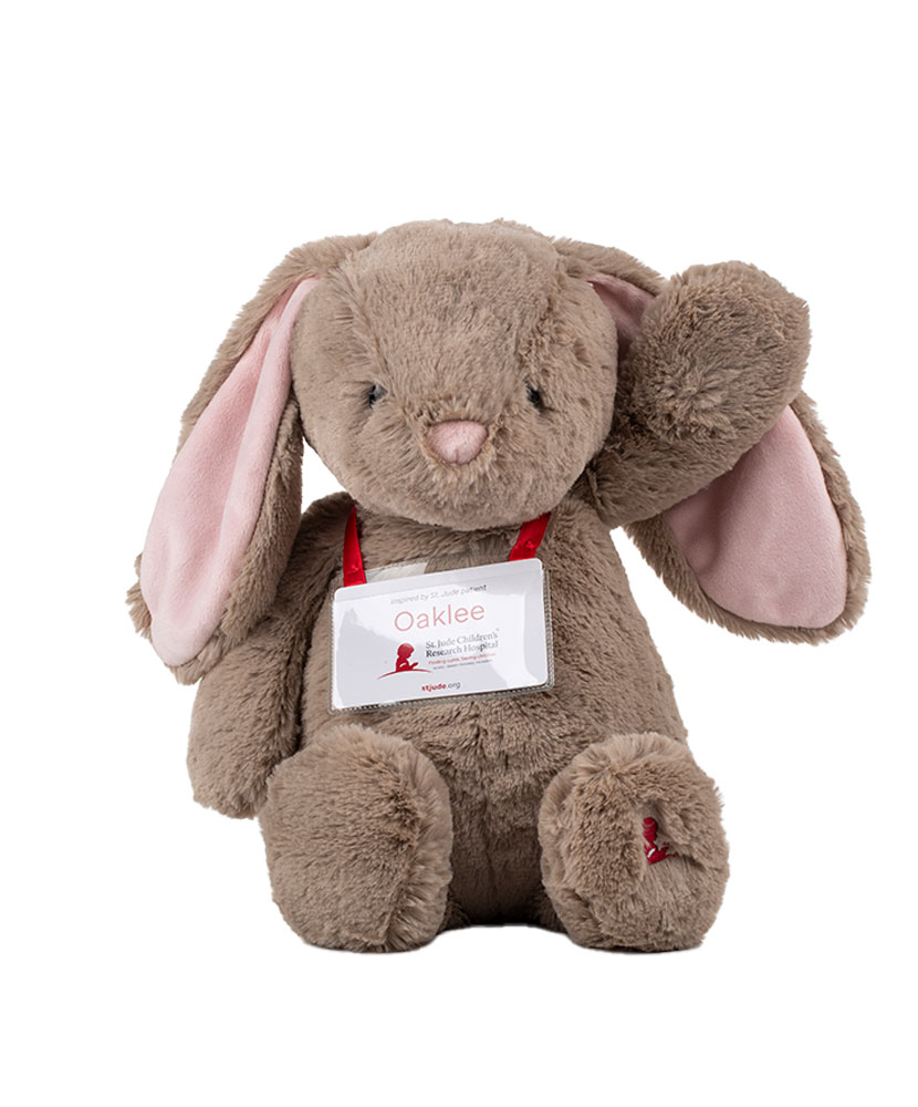 Primary image Patient Art Long-Eared Bunny Plush Toy &ndash; Inspired by Oaklee